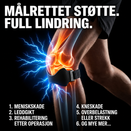 Stegra Presisjonsstøtte